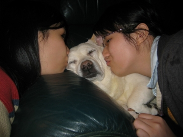 按此在新視窗瀏覽圖片