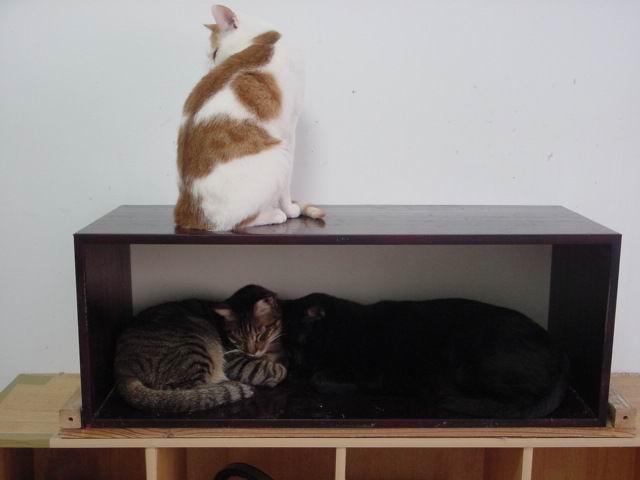 按此在新視窗瀏覽圖片