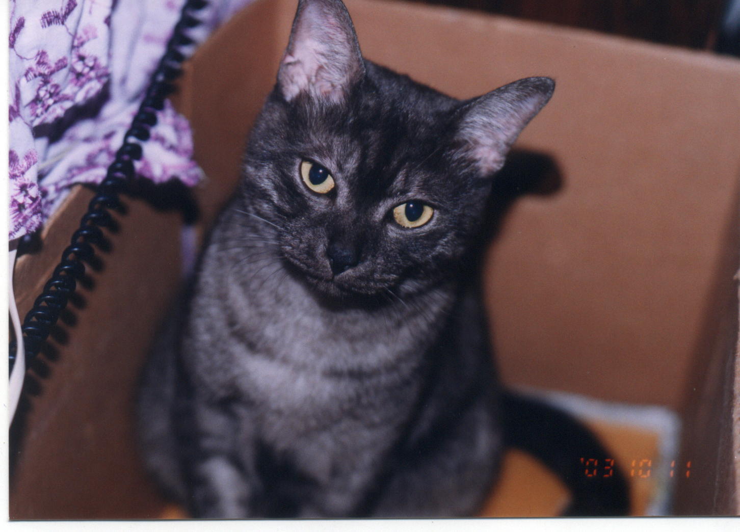 按此在新視窗瀏覽圖片