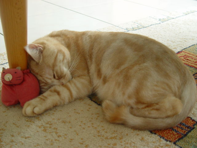 按此在新視窗瀏覽圖片