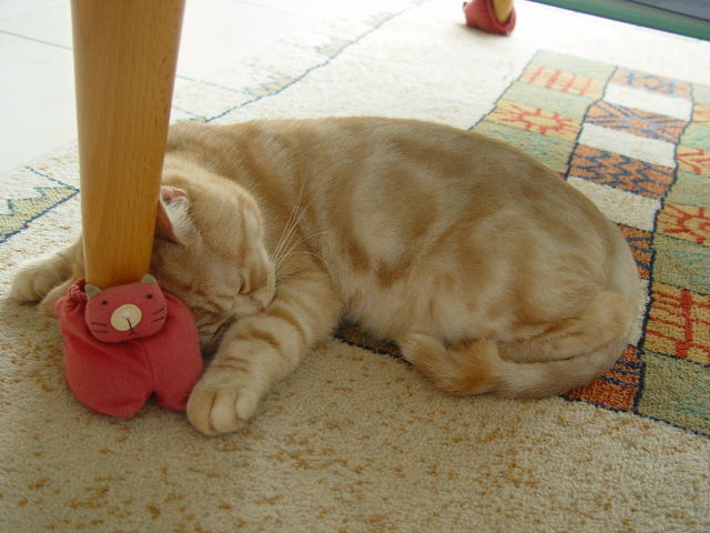 按此在新視窗瀏覽圖片