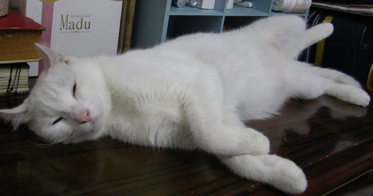 按此在新視窗瀏覽圖片