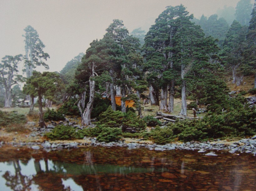 按此在新視窗瀏覽圖片