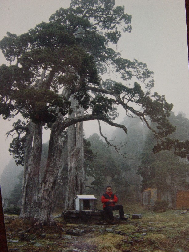 按此在新視窗瀏覽圖片