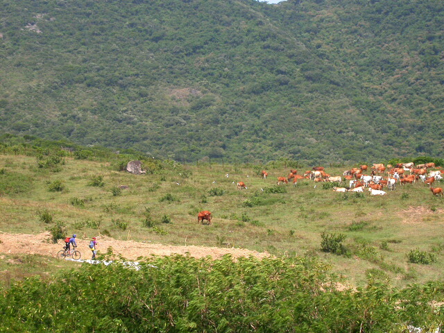 按此在新視窗瀏覽圖片