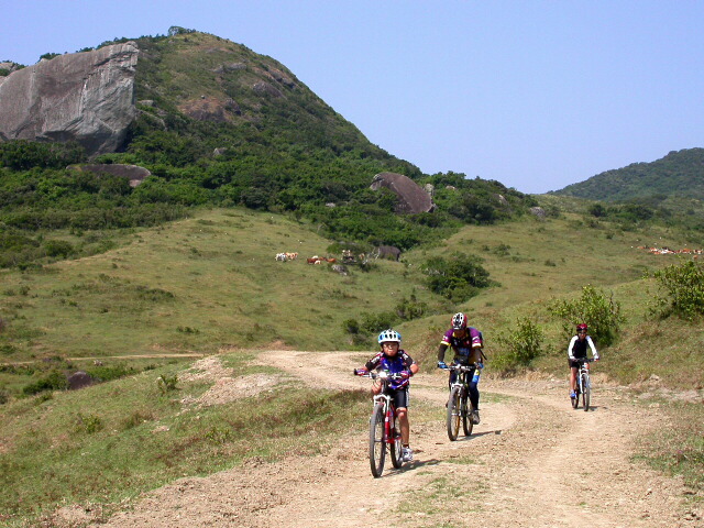 按此在新視窗瀏覽圖片