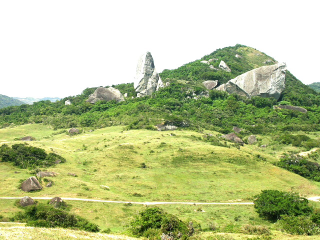 按此在新視窗瀏覽圖片