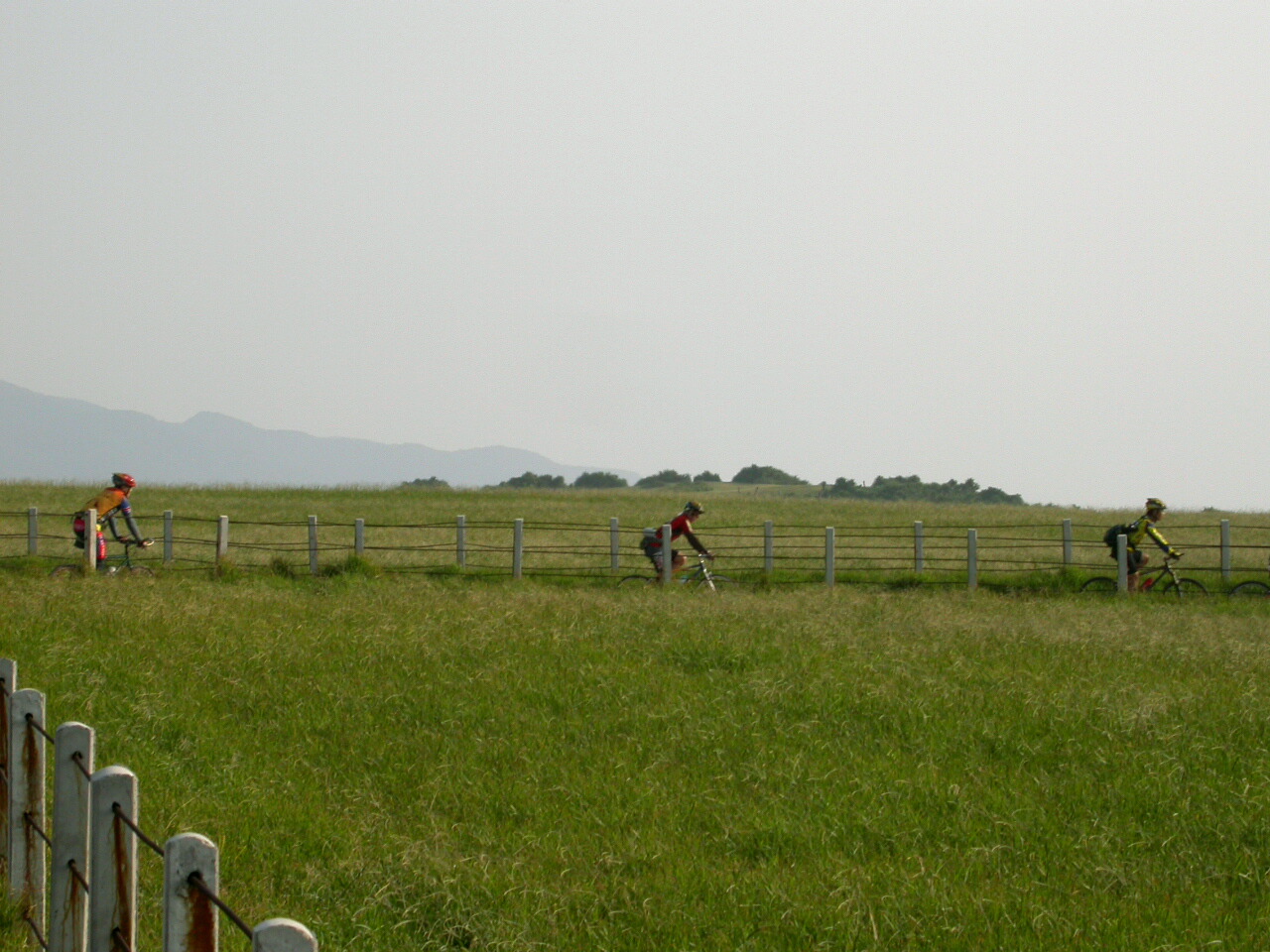 按此在新視窗瀏覽圖片