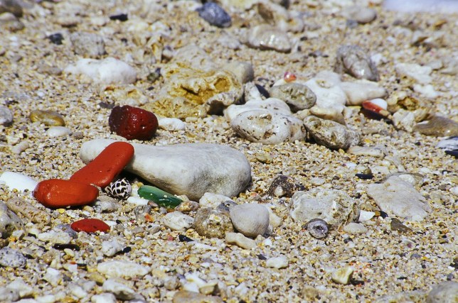 按此在新視窗瀏覽圖片