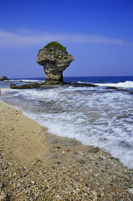 按此在新視窗瀏覽圖片