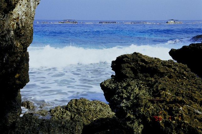 按此在新視窗瀏覽圖片