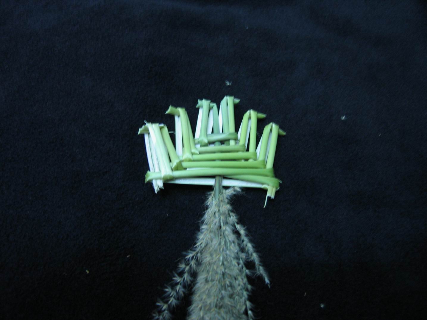 按此在新視窗瀏覽圖片