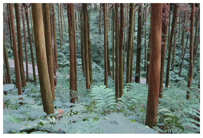 按此在新視窗瀏覽圖片