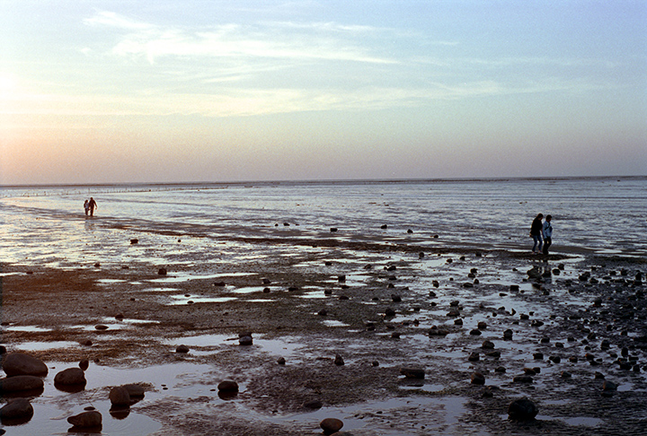 按此在新視窗瀏覽圖片