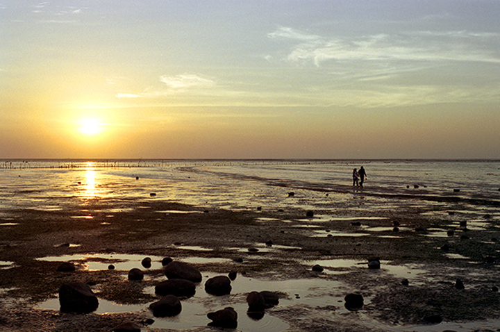 按此在新視窗瀏覽圖片