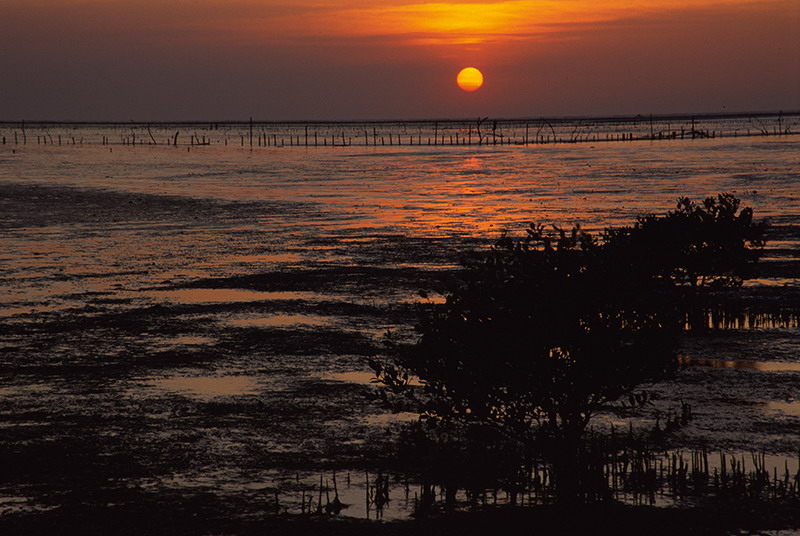 按此在新視窗瀏覽圖片