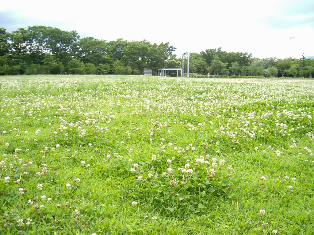 «ö¦¹¦b·sµøµ¡ÂsÄý¹Ï¤ù