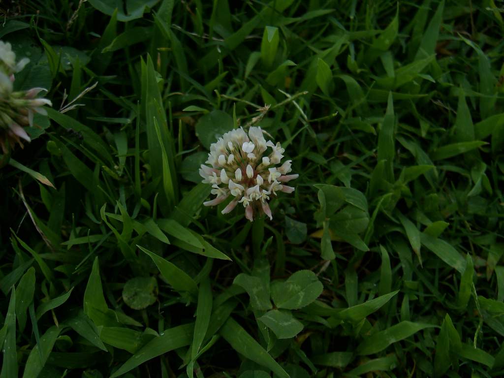 «ö¦¹¦b·sµøµ¡ÂsÄý¹Ï¤ù