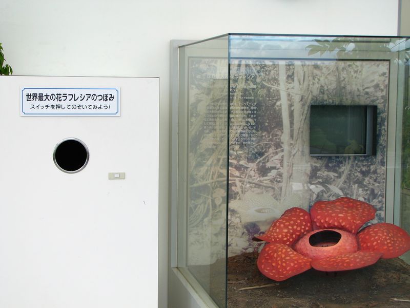 «ö¦¹¦b·sµøµ¡ÂsÄý¹Ï¤ù