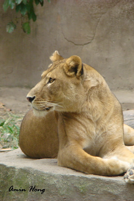 «ö¦¹¦b·sµøµ¡ÂsÄý¹Ï¤ù