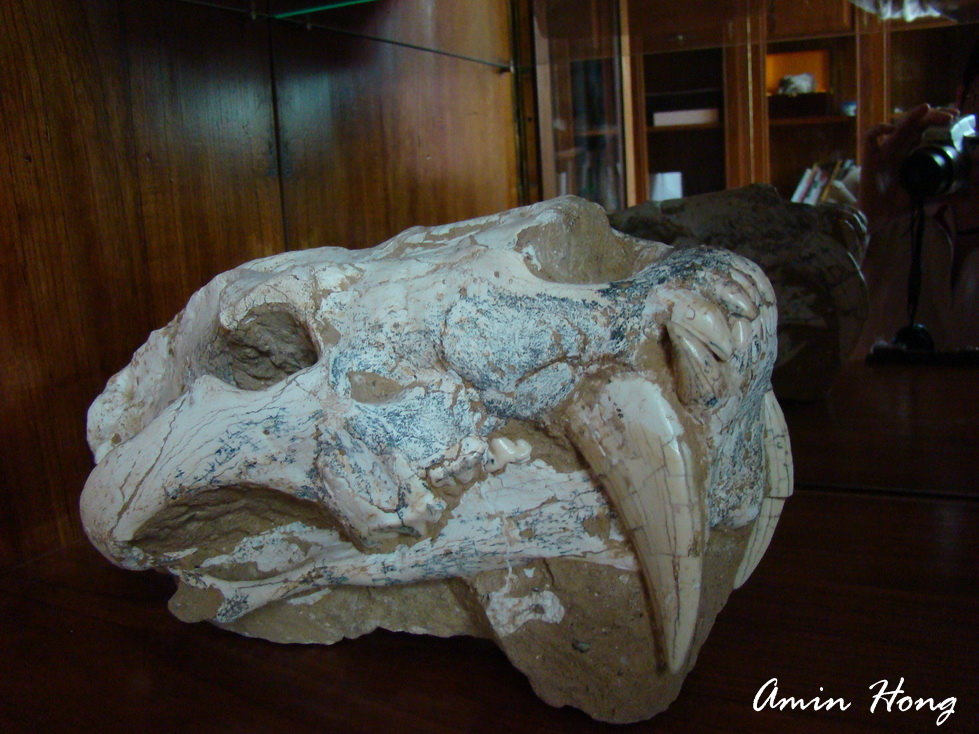 «ö¦¹¦b·sµøµ¡ÂsÄý¹Ï¤ù