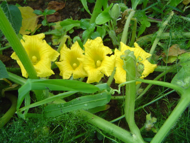 按此在新視窗瀏覽圖片