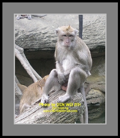 按此在新視窗瀏覽圖片