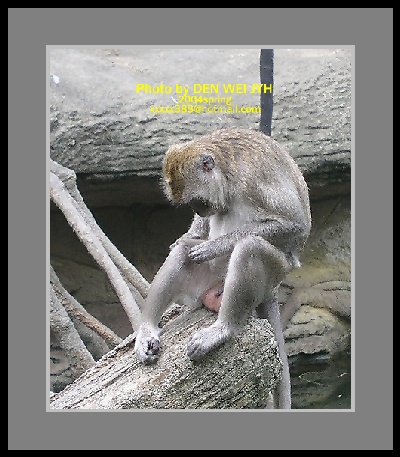 按此在新視窗瀏覽圖片