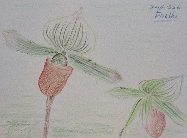 «ö¦¹¦b·sµøµ¡ÂsÄý¹Ï¤ù