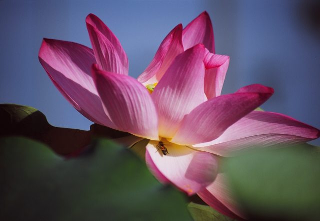 按此在新視窗瀏覽圖片