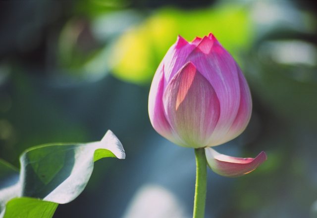 按此在新視窗瀏覽圖片