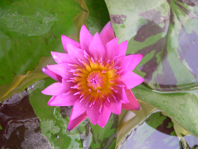 按此在新視窗瀏覽圖片