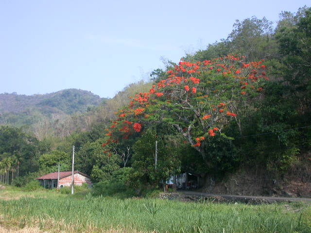 按此在新視窗瀏覽圖片