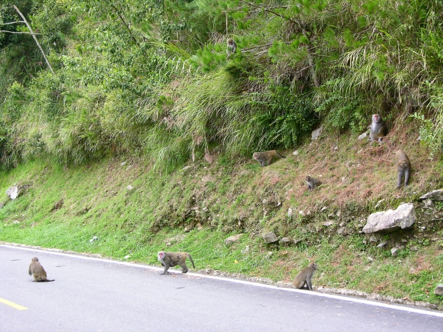 按此在新視窗瀏覽圖片