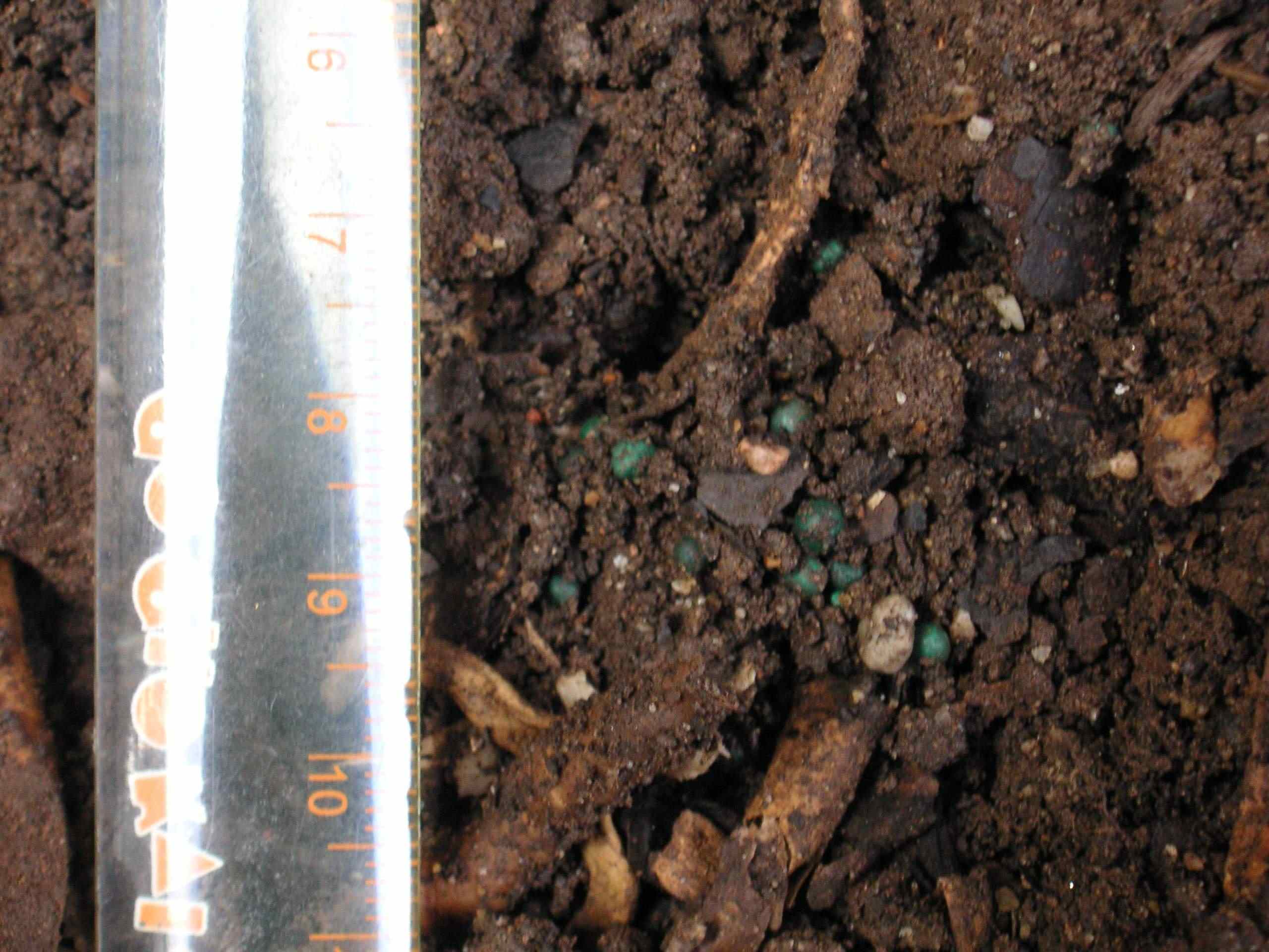 «ö¦¹¦b·sµøµ¡ÂsÄý¹Ï¤ù