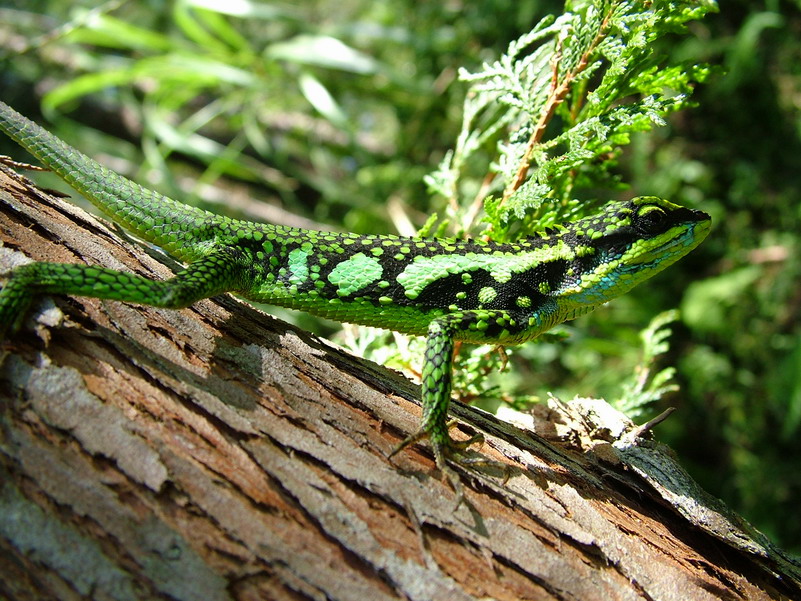 按此在新視窗瀏覽圖片