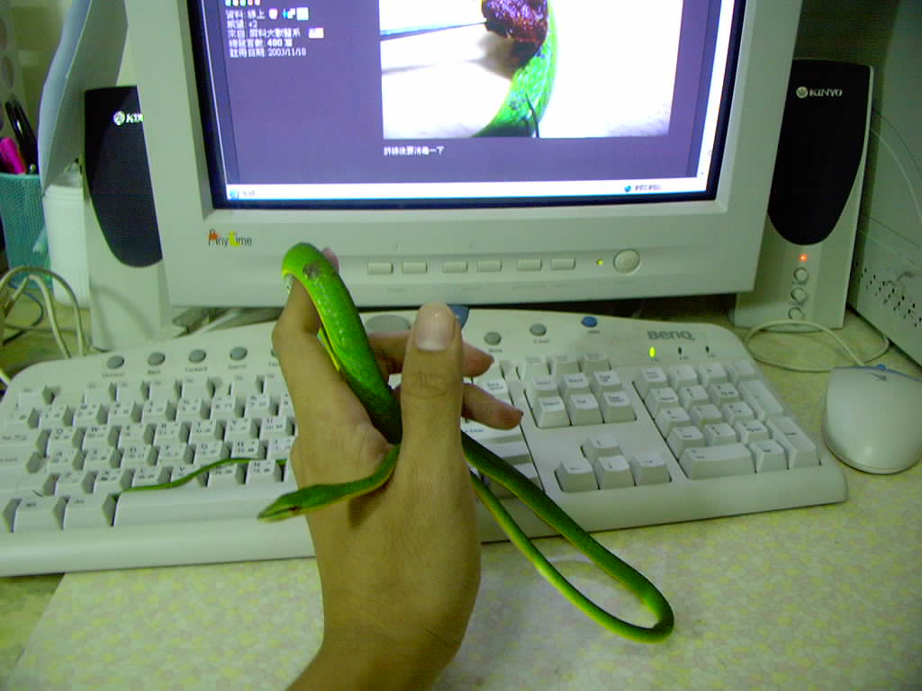 按此在新視窗瀏覽圖片