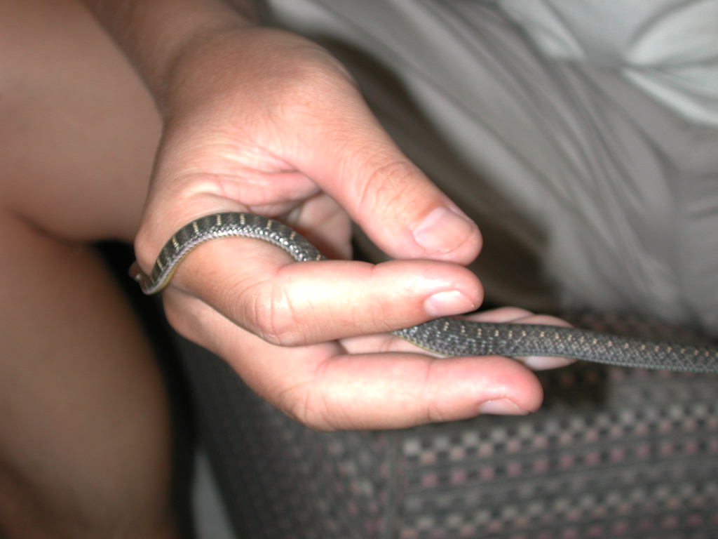 按此在新視窗瀏覽圖片