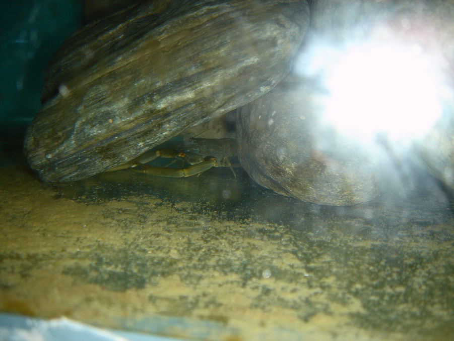 按此在新視窗瀏覽圖片