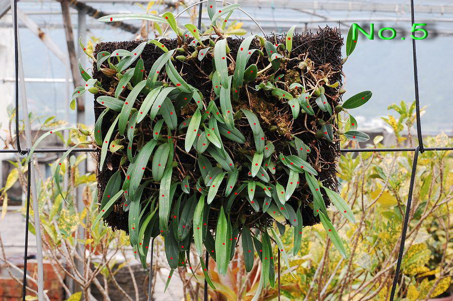 «ö¦¹¦b·sµøµ¡ÂsÄý¹Ï¤ù