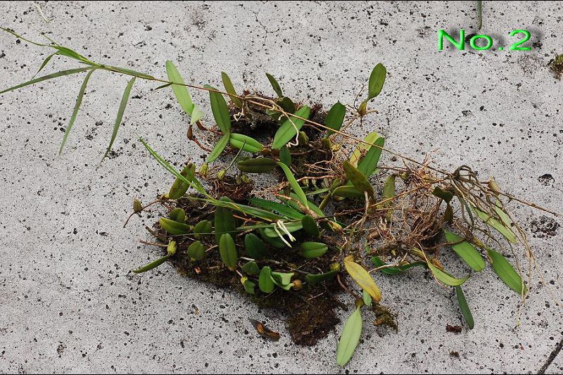 «ö¦¹¦b·sµøµ¡ÂsÄý¹Ï¤ù