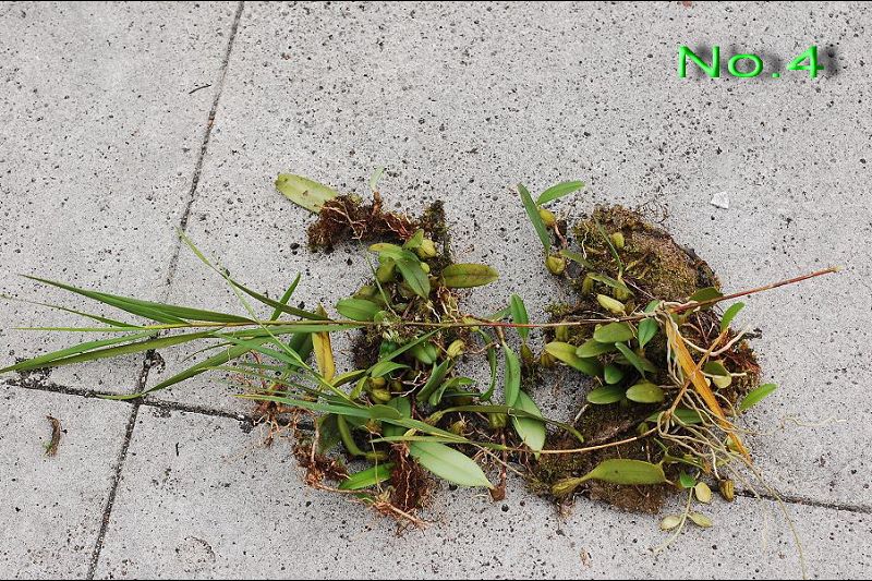 «ö¦¹¦b·sµøµ¡ÂsÄý¹Ï¤ù