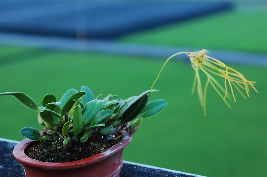 «ö¦¹¦b·sµøµ¡ÂsÄý¹Ï¤ù