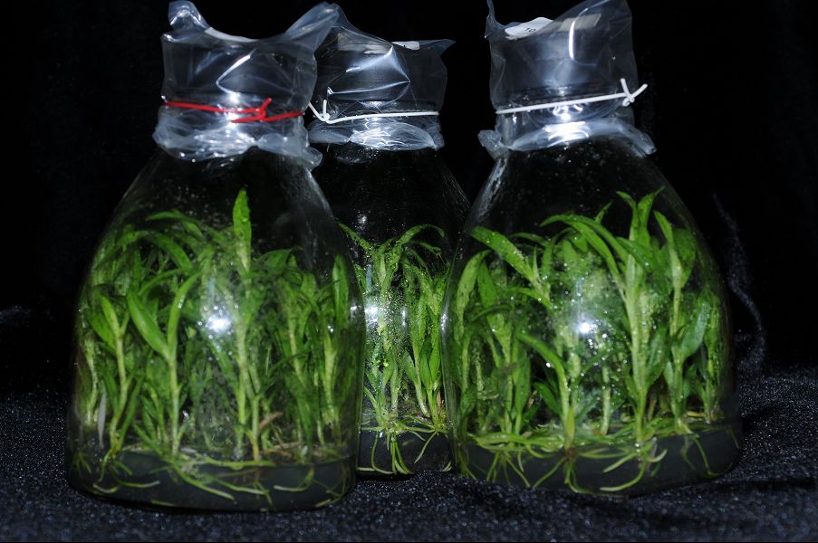 «ö¦¹¦b·sµøµ¡ÂsÄý¹Ï¤ù