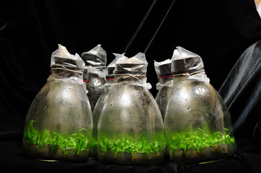 «ö¦¹¦b·sµøµ¡ÂsÄý¹Ï¤ù