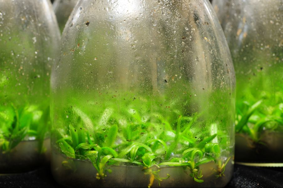 «ö¦¹¦b·sµøµ¡ÂsÄý¹Ï¤ù