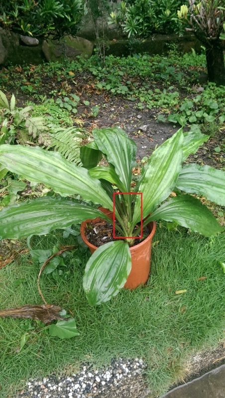 «ö¦¹¦b·sµøµ¡ÂsÄý¹Ï¤ù