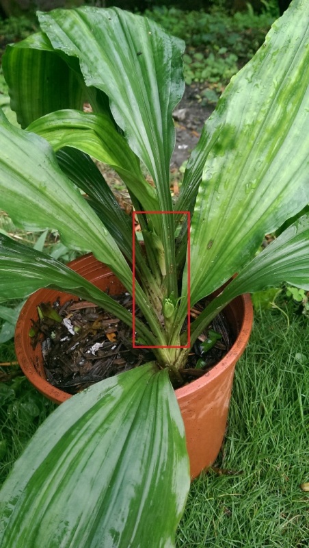 «ö¦¹¦b·sµøµ¡ÂsÄý¹Ï¤ù