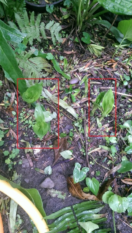 «ö¦¹¦b·sµøµ¡ÂsÄý¹Ï¤ù