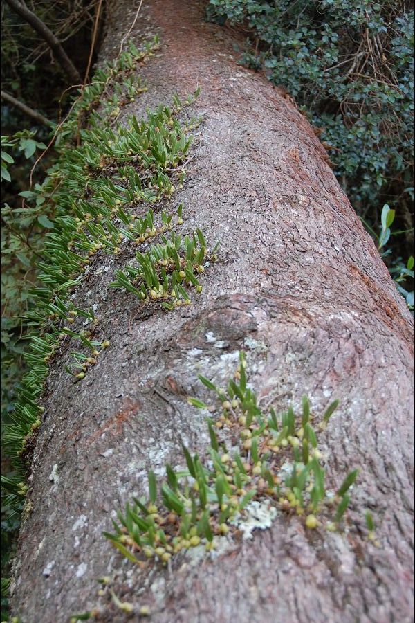 «ö¦¹¦b·sµøµ¡ÂsÄý¹Ï¤ù